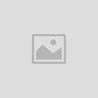 Whey Labs Pro Standard 100% Whey Protein | Chocolate Melt